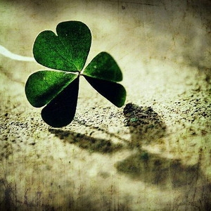 味道中山[高清]