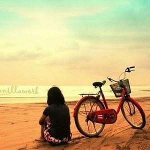 如何下载本站资源