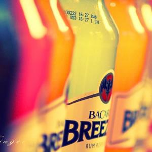 第三帝国最后的秘密